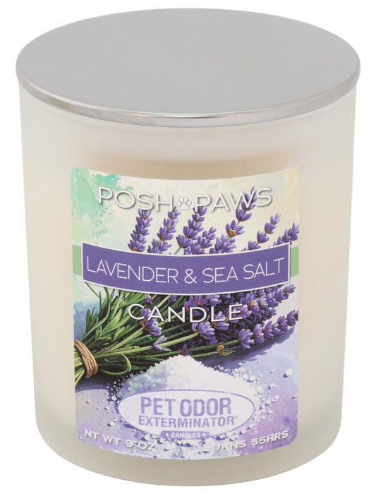 Pet Odor Exterminator Candle - Enzyme-Based Odor Eliminating Candle Safe for Pets