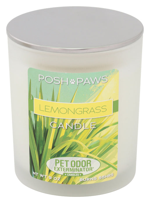 Pet Odor Exterminator Candle - Enzyme-Based Odor Eliminating Candle Safe for Pets