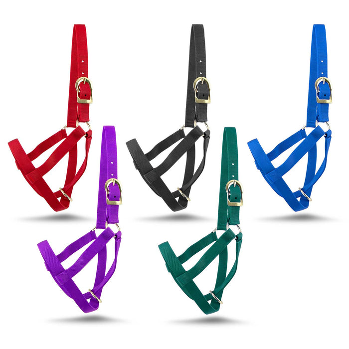 Jeffers Nylon Cow Halter