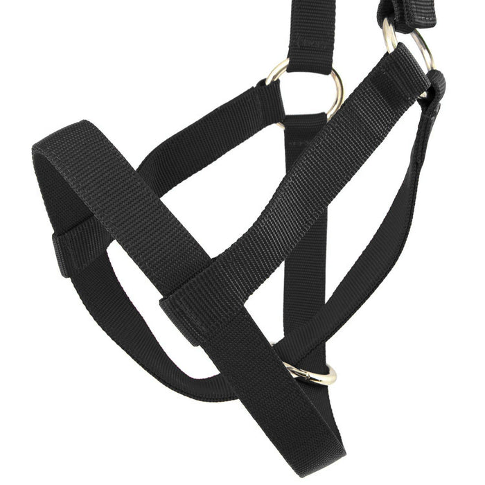 Jeffers Nylon Cow Halter