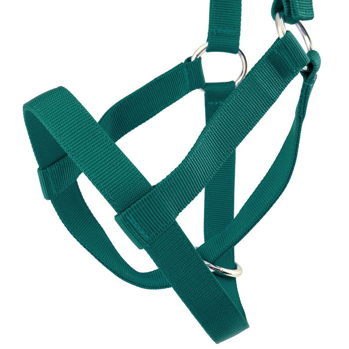 Jeffers Nylon Cow Halter