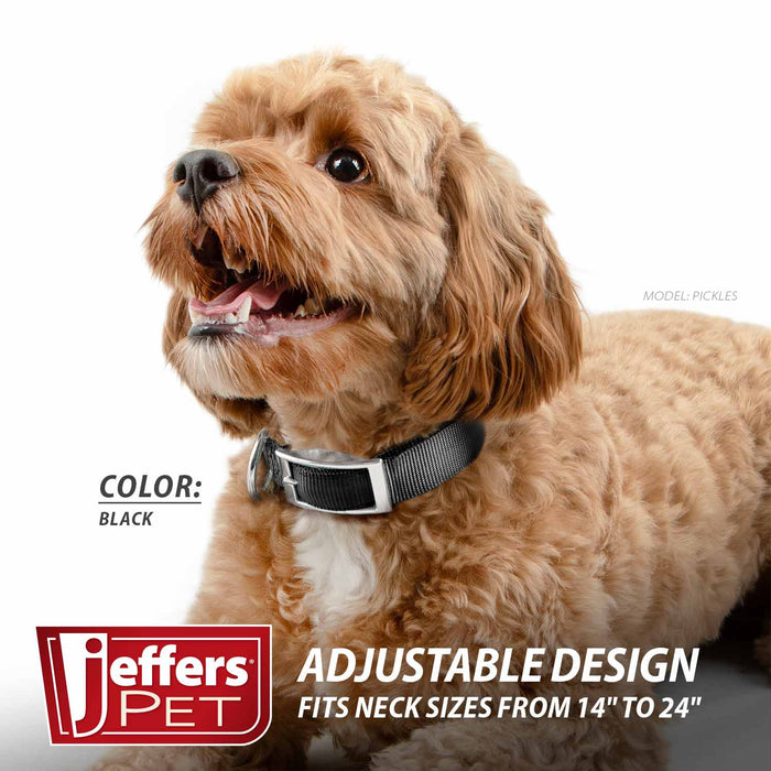 Jeffers Adjustable Nylon Dog Collar, 1"W x 14"-24"L