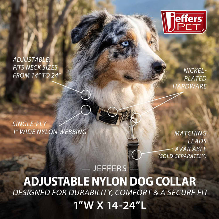 Jeffers Adjustable Nylon Dog Collar, 1"W x 14"-24"L