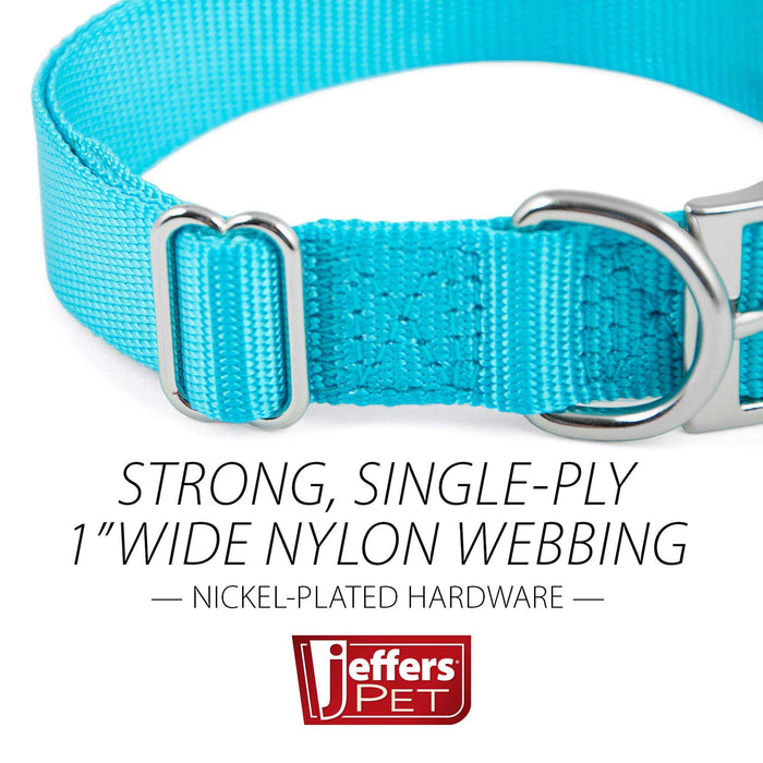 Jeffers Adjustable Nylon Dog Collar, 1"W x 14"-24"L