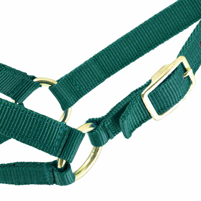 Jeffers Goat Halter