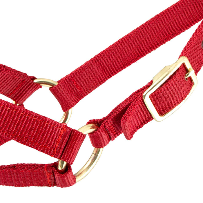 Jeffers Goat Halter