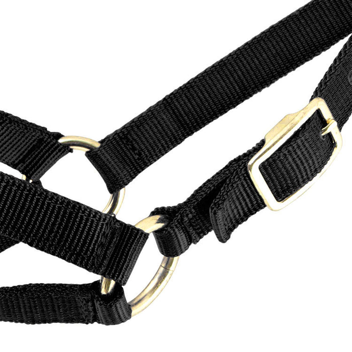 Jeffers Goat Halter