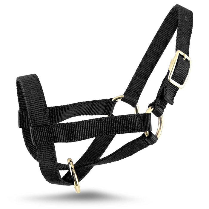 Jeffers Goat Halter