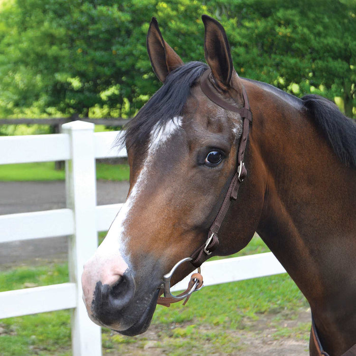 Jeffers Nylon One-Ear Western Horse Headstall