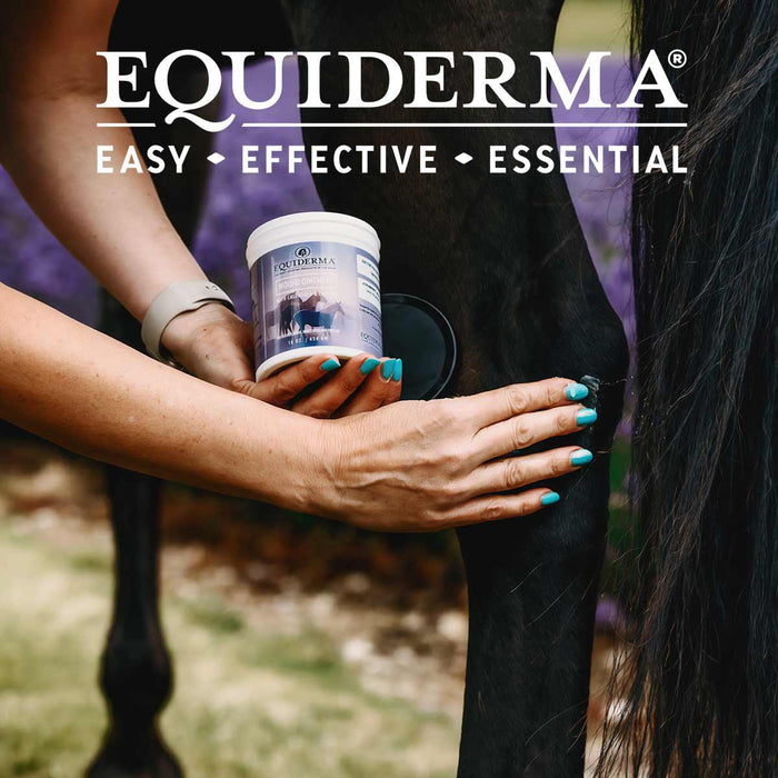 Equiderma Wound Ointment