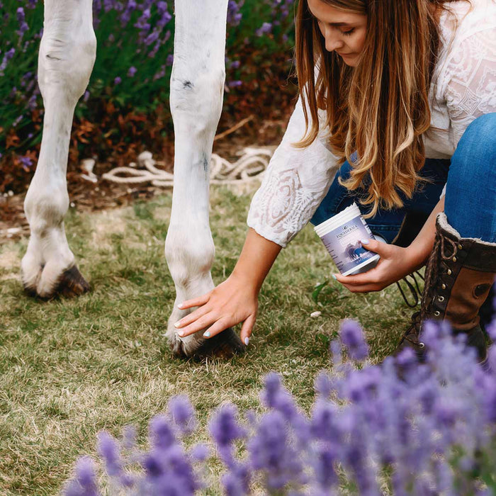 Equiderma Wound Ointment