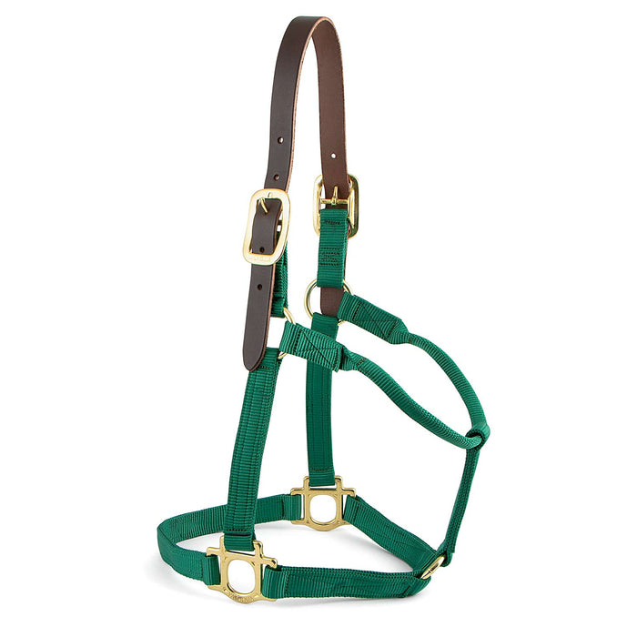 Valhoma Premium Breakaway Nylon Horse Halter with Leather Crown & Brass Hardware