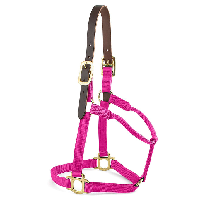 Valhoma Premium Breakaway Nylon Horse Halter with Leather Crown & Brass Hardware