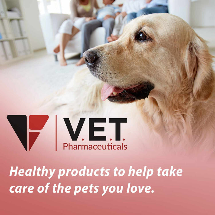 DL Methionine Tablets Urinary pH Support for Dogs & Cats