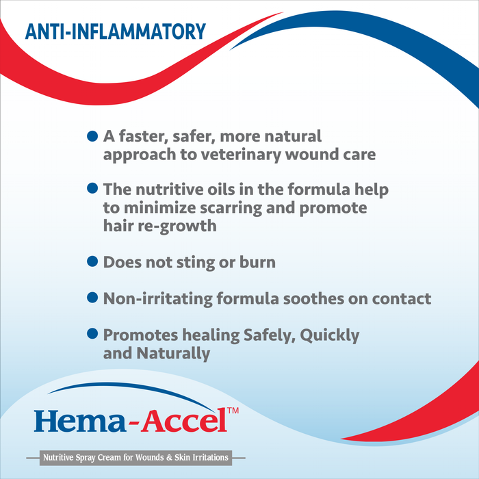 Hema-Accel Canine All Natural Wound Care Spray, 4 oz