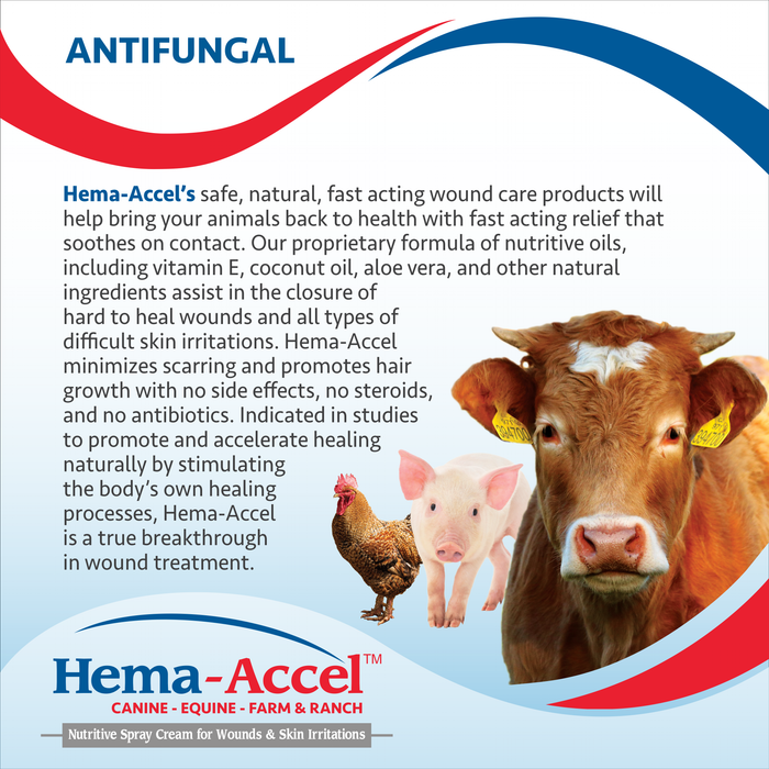 Hema-Accel Equine All Natural Wound Care Spray, 16 oz