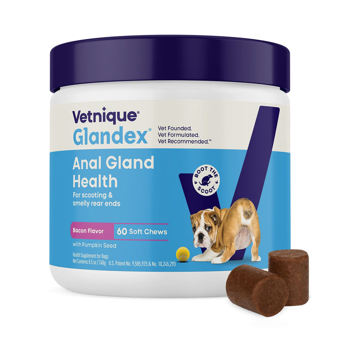 Glandex Anal Gland Health Soft Chews for Dogs