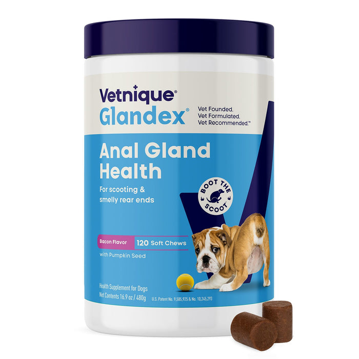 Glandex Anal Gland Health Soft Chews for Dogs