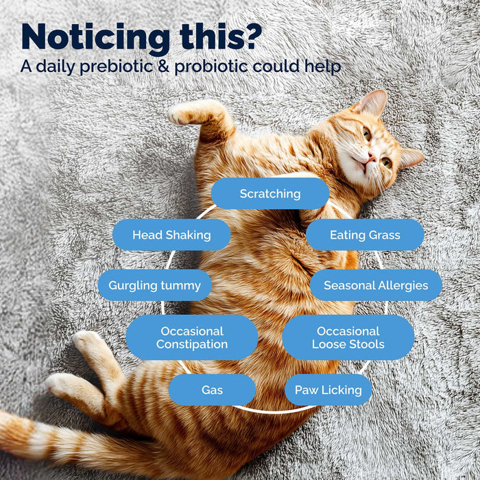Glandex Daily Prebiotic & Probiotic Powder for Cats, Tuna Flavor, 4.0 oz