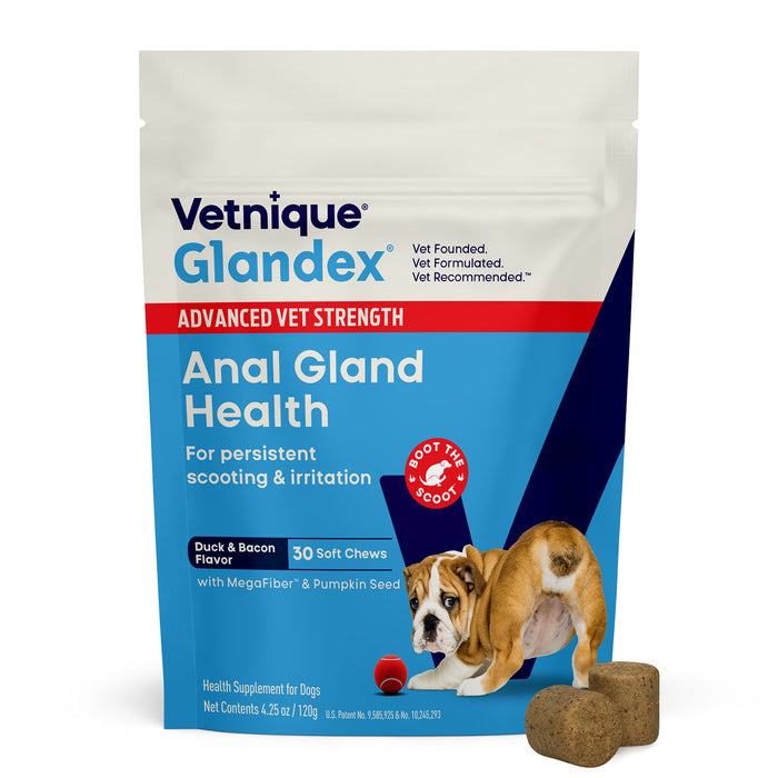 Glandex Advanced Vet Strength Anal Gland Health Soft Chews for Dogs, Duck & Bacon Flavor