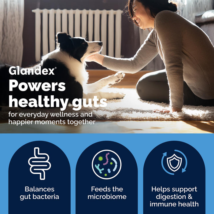 Glandex Daily Prebiotic & Probiotic Soft Chews for Dogs, Bacon Flavor