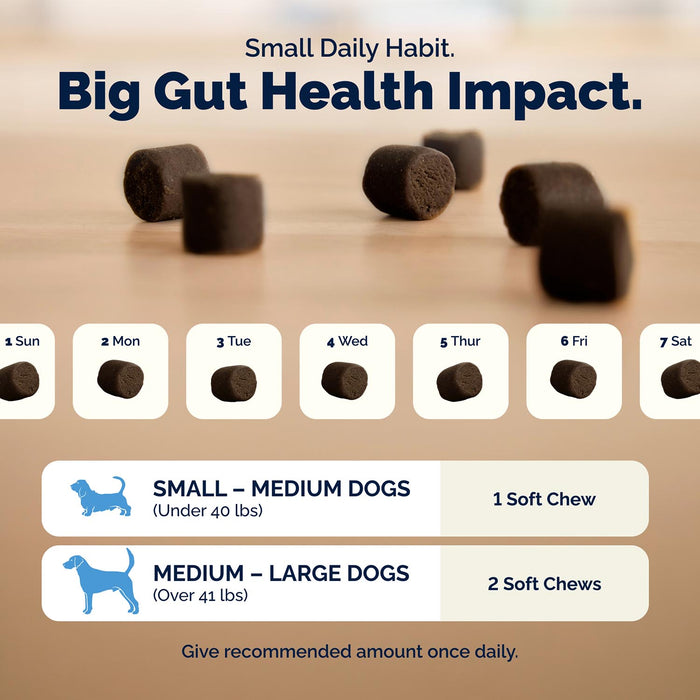 Glandex Daily Prebiotic & Probiotic Soft Chews for Dogs, Bacon Flavor