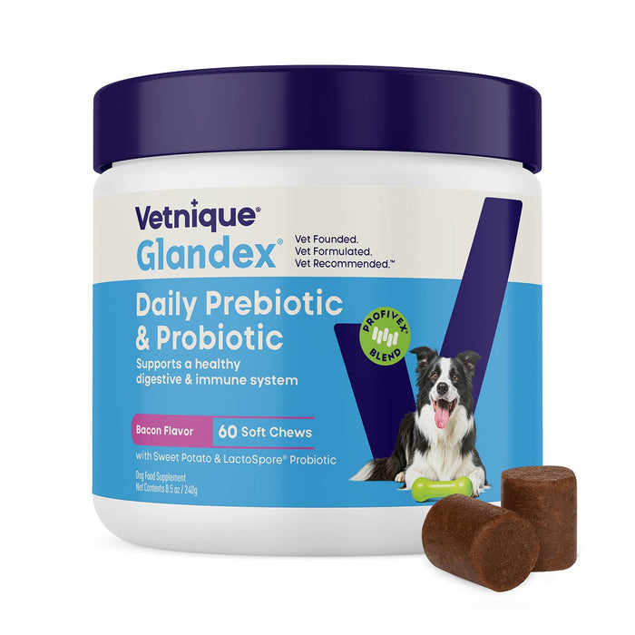 Glandex Daily Prebiotic & Probiotic Soft Chews for Dogs, Bacon Flavor