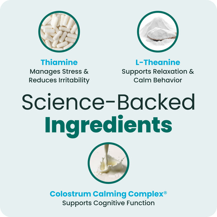 VetriScience Composure Calm & Confident Clinically Tested Peanut Butter Flavored Chews, Calming & Anxiety Supplement for Dogs, 120 count Flavor Peanut Butter