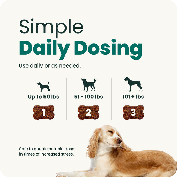 VetriScience Composure Calm & Confident Clinically Tested Peanut Butter Flavored Chews, Calming & Anxiety Supplement for Dogs, 120 count Flavor Peanut Butter
