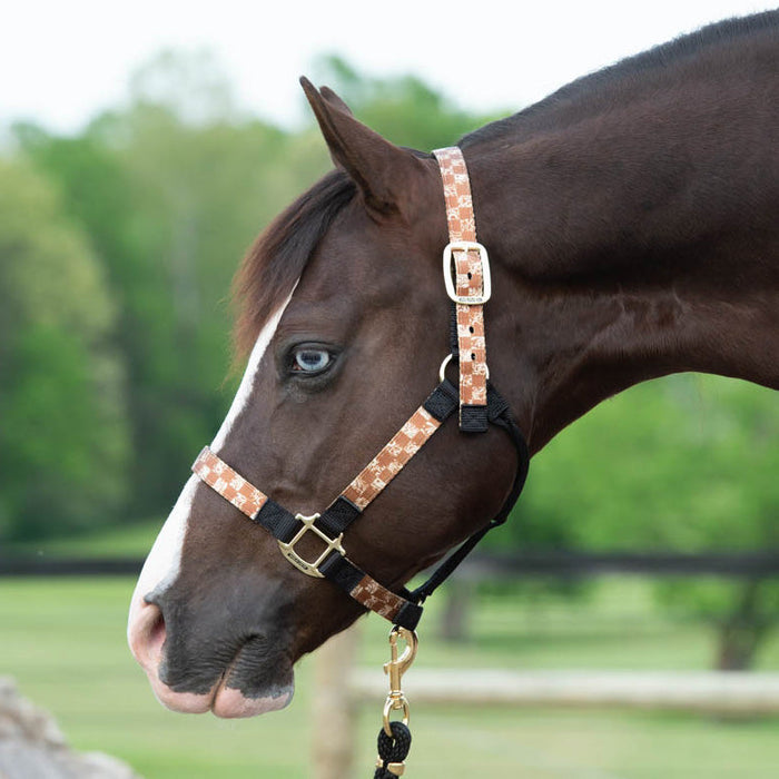 Weaver Patterned Nylon Overlay Halter for Horses
