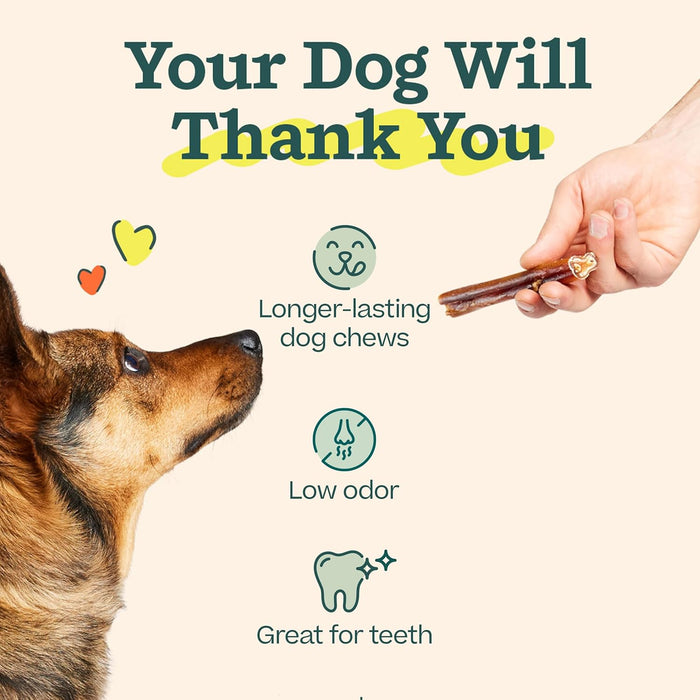BullySafe Bully Sticks– Odor-Free, Long-Lasting Dog Chews | Grass-Fed, Free-Range, Single-Ingredient Beef Pizzle Treats
