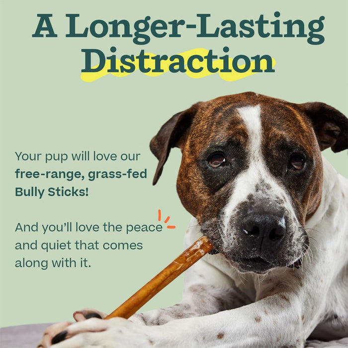 BullySafe Bully Sticks– Odor-Free, Long-Lasting Dog Chews | Grass-Fed, Free-Range, Single-Ingredient Beef Pizzle Treats