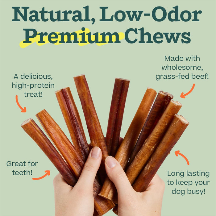 BullySafe Bully Sticks– Odor-Free, Long-Lasting Dog Chews | Grass-Fed, Free-Range, Single-Ingredient Beef Pizzle Treats