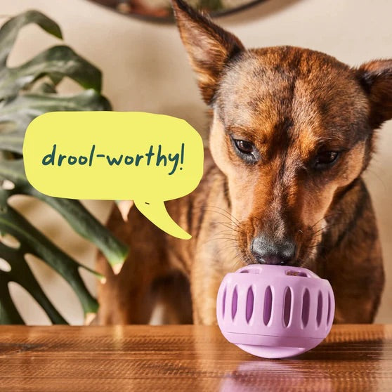 Pupsicle Treat Dispensing Dog Toy – Interactive, Long-Lasting Chew & Puzzle Toy for Dogs
