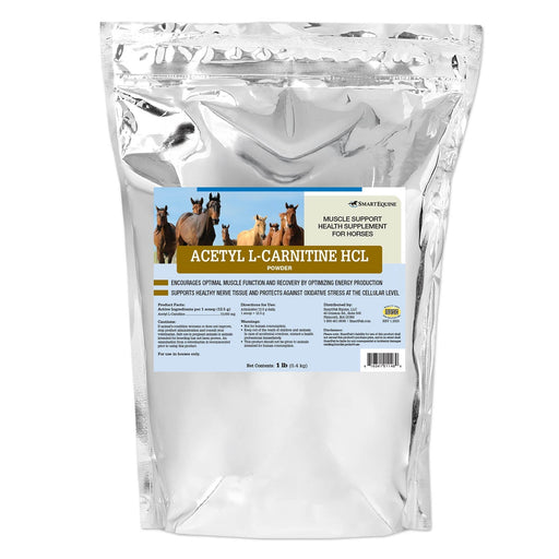 Acetyl L - Carnitine HCL Muscle Support for Horses, Powder - SMACN - 1 lb - 1