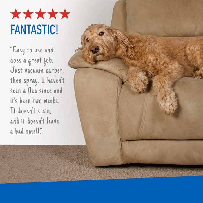 ADAMS Flea & Tick Carpet & Home Aerosol Spray, 7 - Month Flea Protection, Treats Up to 2K Sq Ft, 16 oz - FAAAK - 16 oz - 1 - 2