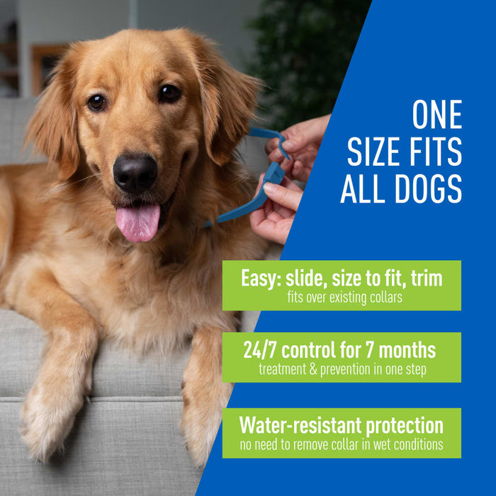ADAMS Flea & Tick Control Collar for Dogs, 7 - Month Protection, Adjustable One Size Collar Fits All - FAAAH - One Size Fits All - 1 ct - 4