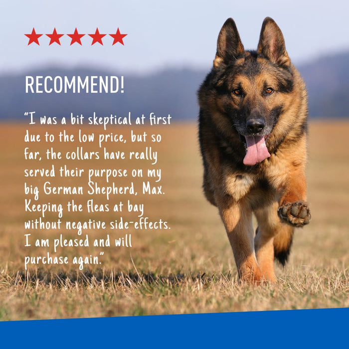 ADAMS Flea & Tick Control Collar for Dogs, 7 - Month Protection, Adjustable One Size Collar Fits All - FAAAH - One Size Fits All - 1 ct - 3