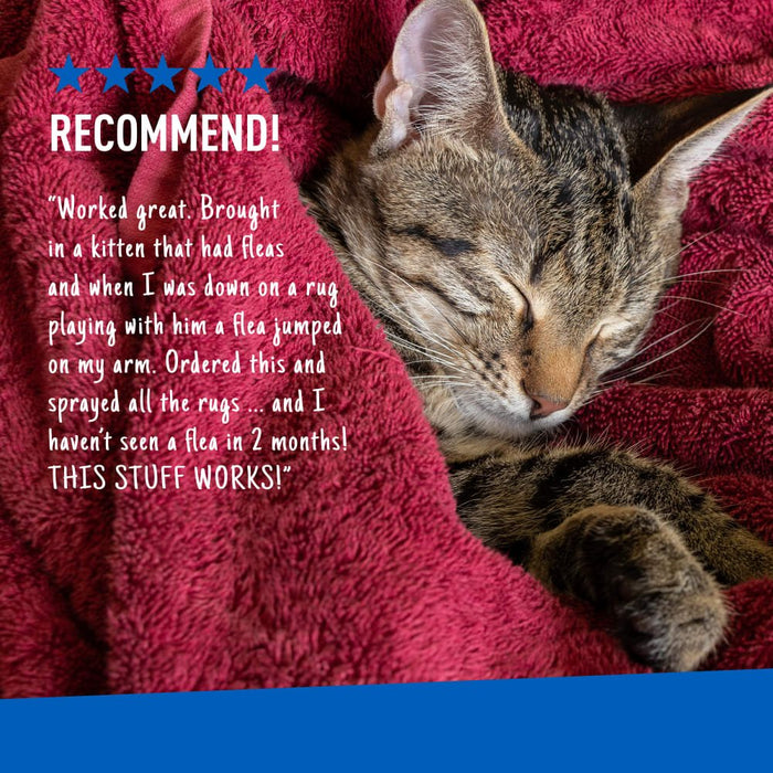 ADAMS Flea & Tick Home Spray - FAAAJ - 24 fl oz - 1 - 8