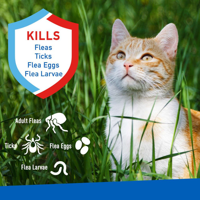 ADAMS Flea & Tick Spray For Cats, 16 oz - FAAAA - 16 oz - 1 - 2