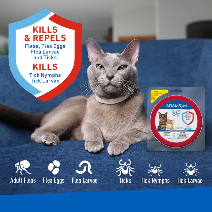ADAMS Plus Flea & Tick Breakaway Collar for Cats, 2 Pack - 14 Months Protection - FAAAT - One Size Fits All - 2 ct - 2