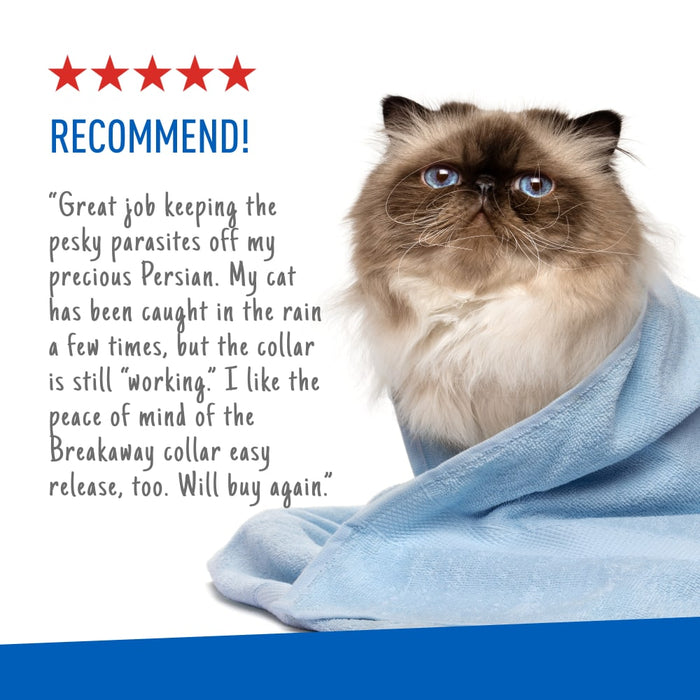 ADAMS Plus Flea & Tick Breakaway Collar for Cats, 2 Pack - 14 Months Protection - FAAAT - One Size Fits All - 2 ct - 5