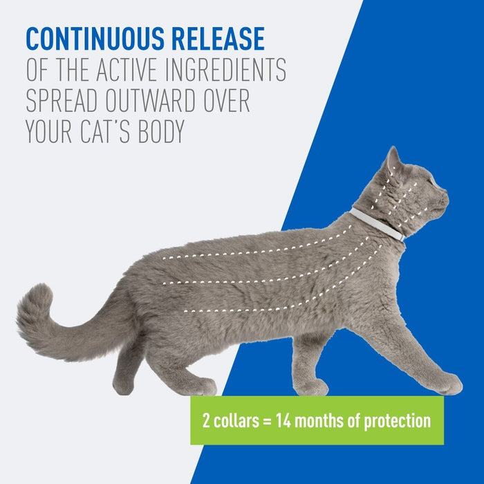 ADAMS Plus Flea & Tick Breakaway Collar for Cats, 2 Pack - 14 Months Protection - FAAAT - One Size Fits All - 2 ct - 4