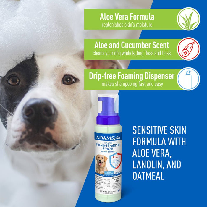 ADAMS Plus Flea & Tick Foaming Shampoo & Wash for Dogs & Puppies Over 12 Weeks, Sensitive Skin Flea Treatment, 10 oz - FAAAM - 10 oz - 1 - 3
