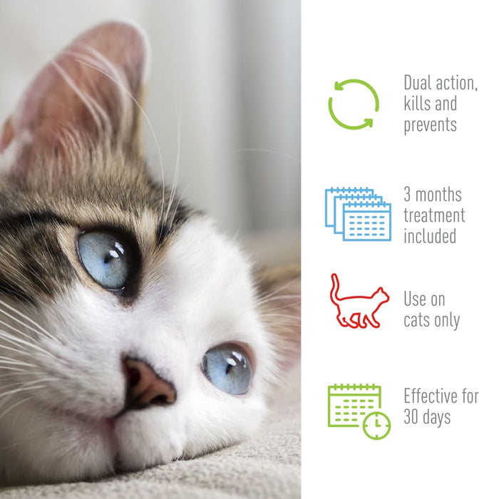 ADAMS Plus Flea & Tick Spot On for Cats, 3 Month Supply - FAAAU - Cats 5 lbs and Over - 3 ct (3 Month Supply) - 4