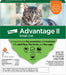 Advantage II for Cats - Jeffers - Animal Health & Wellness > Flea & Tick Control