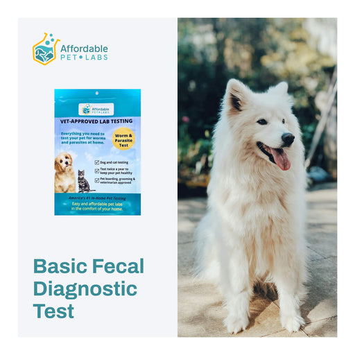 Affordable Pet Labs - Basic Fecal Diagnostic Test For Dogs & Cats, Easy Home Kit - AF21C - 1