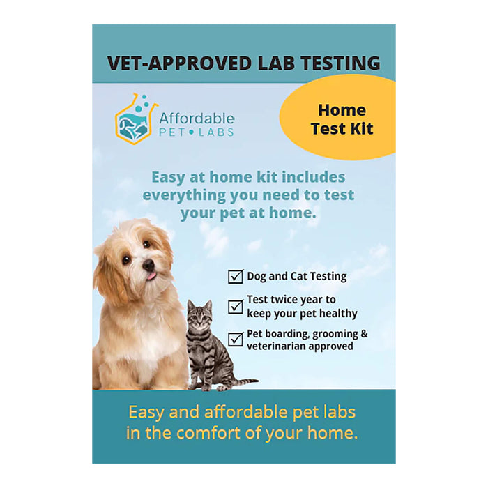 Affordable Pet Labs - Complete Urinalysis with Microscopic Evaluation For Cats, Easy Home Test Kit - AF218 - 2
