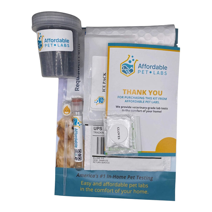 Affordable Pet Labs - Complete Urinalysis with Microscopic Evaluation For Cats, Easy Home Test Kit - AF218 - 4