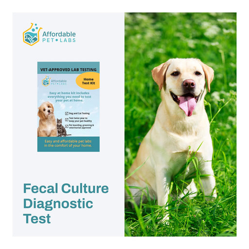 Affordable Pet Labs - Fecal Culture Diagnostic Test For Dogs, Easy Home Kit - AF21J - 1